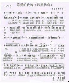 一生所爱最新爆料歌词翻译,揭秘最新爆料歌词背后的情感纠葛