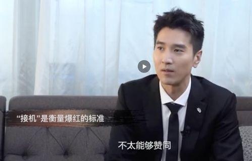 赵又廷采访爆料视频,幕后故事与心路历程