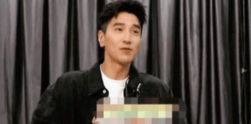 赵又廷采访爆料视频,幕后故事与心路历程 第2张 赵又廷采访爆料视频,幕后故事与心路历程 第2张