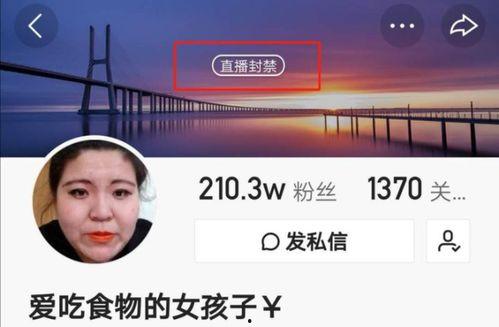 网红爆料陈警官悬赏视频,网红爆料背后真相揭秘