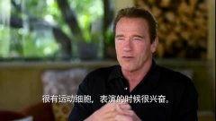阿诺视频爆料最新消息,最新热点事件深度解析