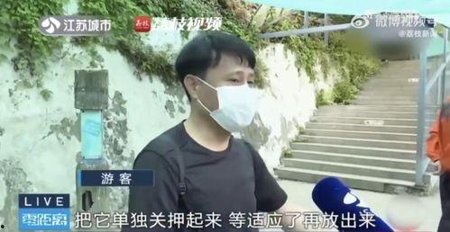 网友拍到网红吃瓜怎么办,网友热议不断