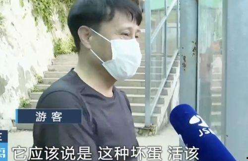 网友拍到网红吃瓜怎么办,网友热议不断  第3张