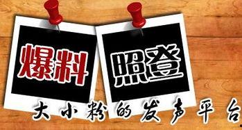 黄标新闻爆料,揭秘事件背后惊人真相