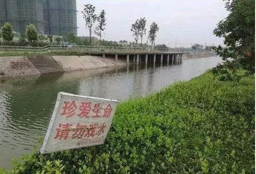 中江爆料跳河视频,惊心动魄的跳河瞬间，视频记录生死瞬间