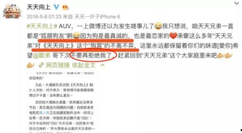 娱乐圈爆料客头条号,揭秘明星幕后故事,独家爆料等你来探! 第2张 娱乐圈爆料客头条号,揭秘明星幕后故事,独家爆料等你来探! 第2张