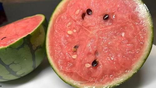 江西网红吃瓜视频,揭秘网络红人的幕后故事 第3张 江西网红吃瓜视频,揭秘网络红人的幕后故事 第3张
