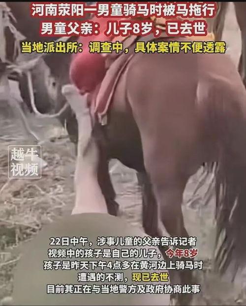 永康爆料牛姑娘被打视频,真相与反思 第2张 永康爆料牛姑娘被打视频,真相与反思 第2张