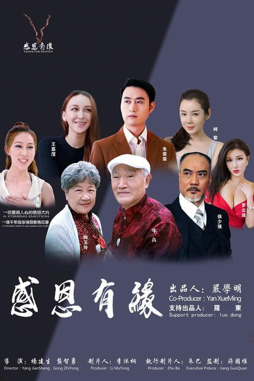 电影感恩有缘在线观看,一段跨越时空的感人邂逅