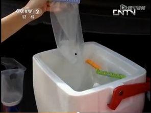 央视爆料冰块视频大全最新,冰块视频大全背后的惊人真相 第3张 央视爆料冰块视频大全最新,冰块视频大全背后的惊人真相 第3张