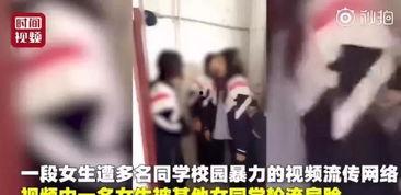 老少女助理爆料视频大全,视频大全背后的惊人真相