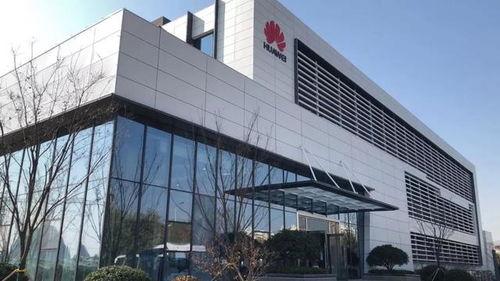 临沂开发区爆料事件视频,揭露背后真相